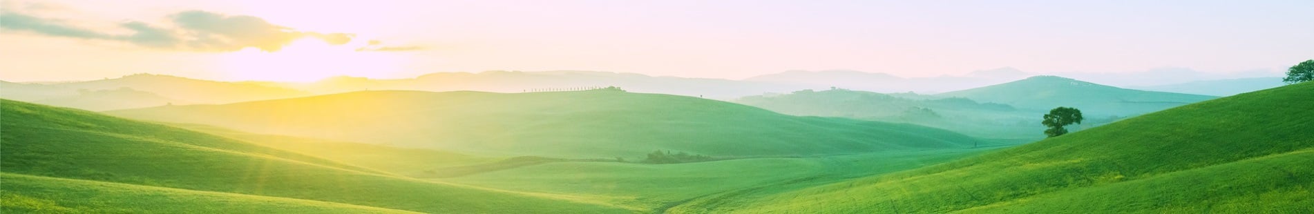 bnr-meadow-with-sunset-01-variation-01