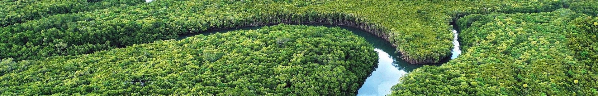 bnr-river-in-forest-viewed-from-above-03-variation-02