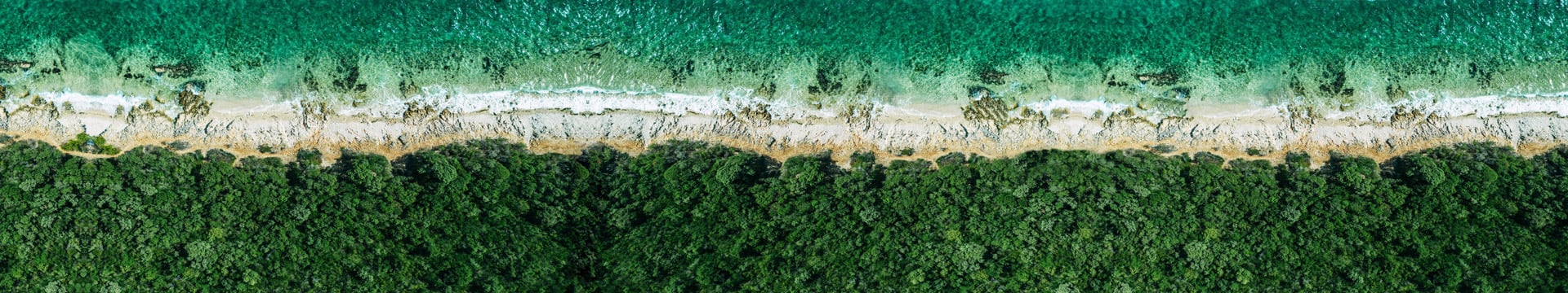 bnr-waves-crashing-on-beach-next-to-forest-viewed-from-above-01-qual-80pct