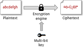 blg-screenshot-securing-your-data-with-tde-09