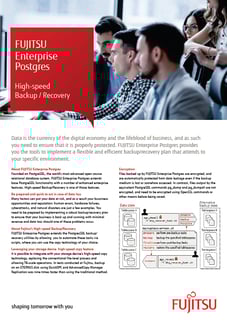 High-speed Backup/Recovery brochure