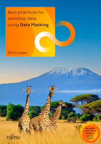 Thumbnail: White Paper Data Masking