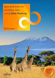 White paper: Data Masking