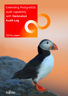 White paper: Dedicated Audit Log