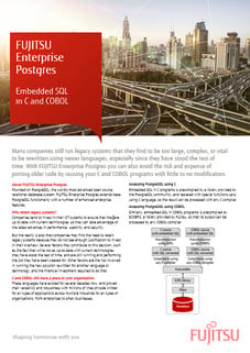 White paper: Embedded SQL in C and COBOL