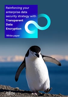 White paper: Transparent Data Encryption