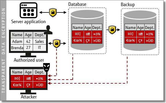 Diagram - Transparent data encryption