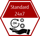 Support plan - Standard 24x7