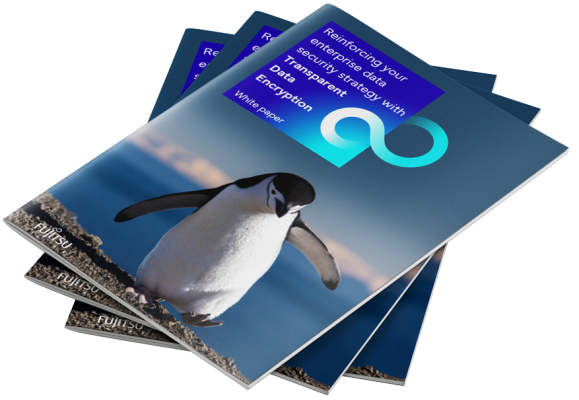 Stacked white papers: Transparent Data Encryption