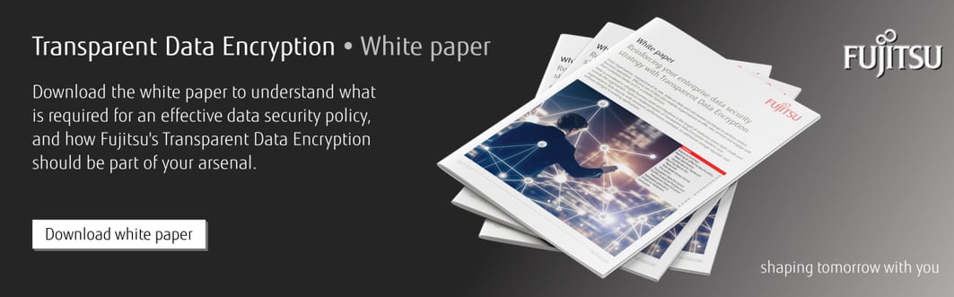 Banner: Download the Transparent Data Encryption white paper