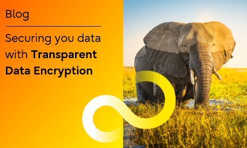 bnr-blog-securing-your-data-with-tde-social