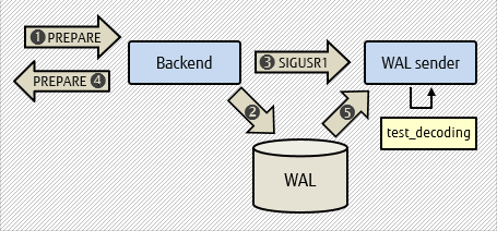 Diagram showing usage of openCryptoki and OpenSSL