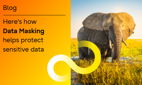 img-featured-blog-here-is-how-data-masking-helps-protect-sensitive-data